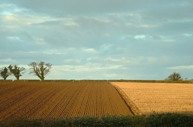view from studio